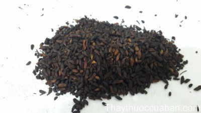 Hình ảnh vị thuốc hoa hòe sao đen