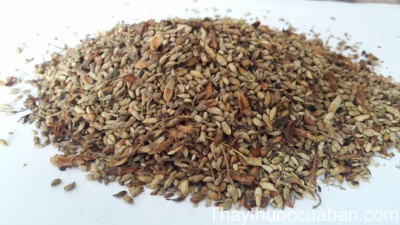 H&igrave;nh ảnh vị thuốc hoa h&ograve;e