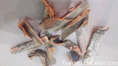 H&igrave;nh ảnh vị thuốc ho&agrave;ng b&aacute; nam
