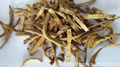 H&igrave;nh ảnh vị thuốc ho&agrave;ng b&aacute;