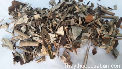 H&igrave;nh ảnh vị thuốc khổ s&acirc;m