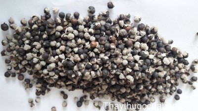 H&igrave;nh ảnh vị thuốc m&agrave;n kinh tử