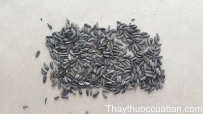 H&igrave;nh ảnh vị thuốc ngưu b&agrave;ng