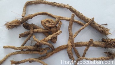 H&igrave;nh ảnh vị thuốc ph&ograve;ng phong