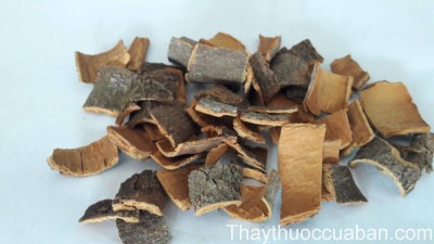 H&igrave;nh ảnh quế chi