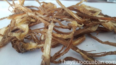 H&igrave;nh ảnh vị thuốc quy xuy&ecirc;n (xuy&ecirc;n quy)