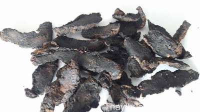 H&igrave;nh ảnh sinh địa