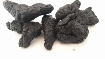 H&igrave;nh ảnh vị thuốc thục địa