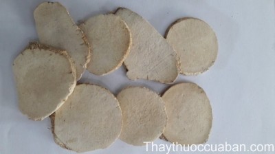 H&igrave;nh ảnh vị thuốc trạch tả