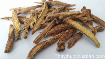 H&igrave;nh ảnh vị thuốc tri mẫu