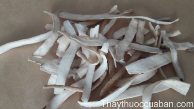 H&igrave;nh ảnh vị thuốc bạch thược th&aacute;i l&aacute;t