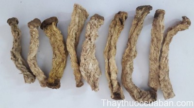 H&igrave;nh ảnh vị thuốc b&igrave;nh v&ocirc;i