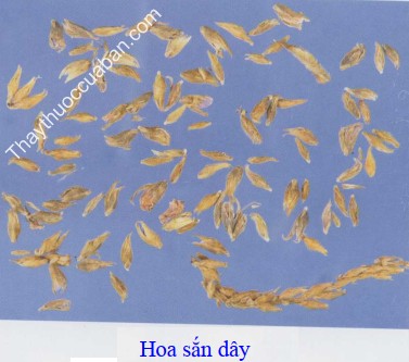 H&igrave;nh ảnh c&aacute;t căn hoa