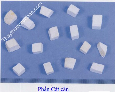 H&igrave;nh ảnh c&aacute;t căn phẩn