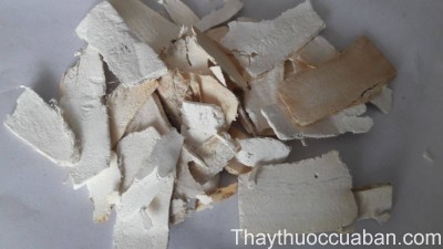 H&igrave;nh ảnh vị thuốc c&aacute;t căn th&aacute;i l&aacute;t
