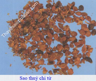 H&igrave;nh ảnh chi tử sao thủy