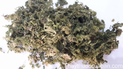 H&igrave;nh ảnh vị thuốc c&ocirc;n bố