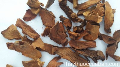 H&igrave;nh ảnh vị thuốc cốt to&aacute;i