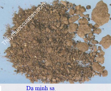 H&igrave;nh ảnh vị thuốc dạ minh sa