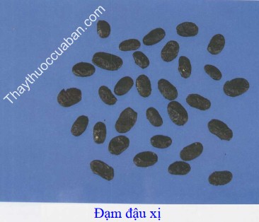 Đạm dậu xị