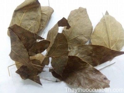 H&igrave;nh ảnh vị thuốc d&acirc;m dương hoắc