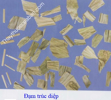 Hình ảnh vị thuốc đạm trúc diệp