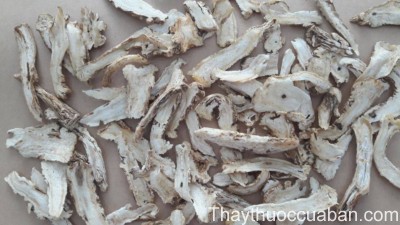 H&igrave;nh ảnh vị thuốc đương quy th&aacute;i l&aacute;t
