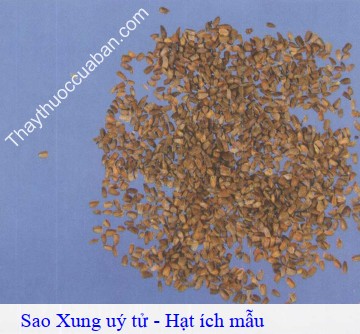 H&igrave;nh ảnh &iacute;ch mẫu hạt sao