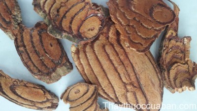 H&igrave;nh ảnh vị thuốc k&ecirc; huyết đằng