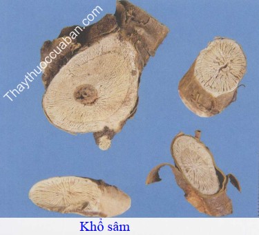 H&igrave;nh ảnh khổ s&acirc;m