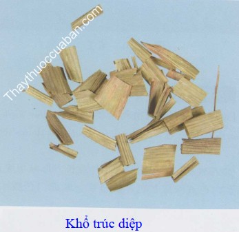 H&igrave;nh ảnh khổ tr&uacute;c diệp