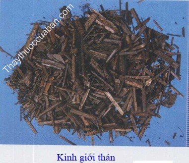 H&igrave;nh ảnh kinh giới th&aacute;n, kinh giới sao đen