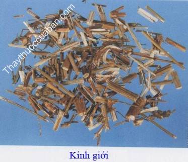 H&igrave;nh ảnh vị thuốc kinh giới