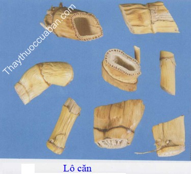 H&igrave;nh ảnh vị thuốc l&ocirc; căn