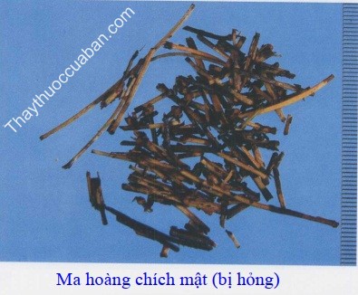 H&igrave;nh ảnh ma ho&agrave;ng ch&iacute;ch mật bị hỏng