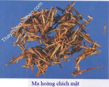 H&igrave;nh ảnh ma ho&agrave;ng ch&iacute;ch mật