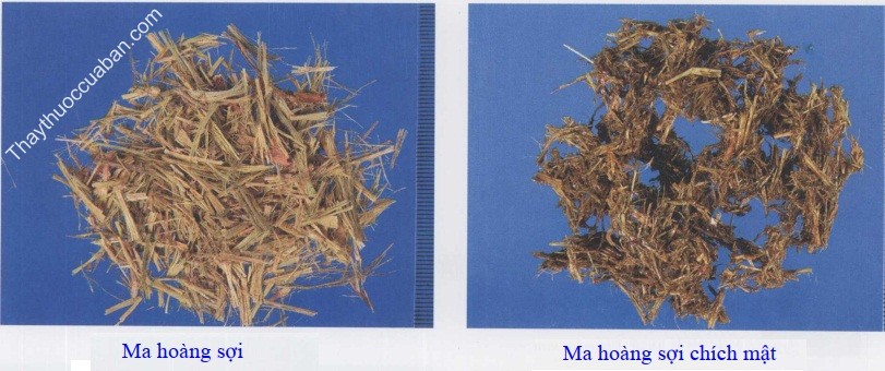 H&igrave;nh ảnh ma ho&agrave;ng sợi