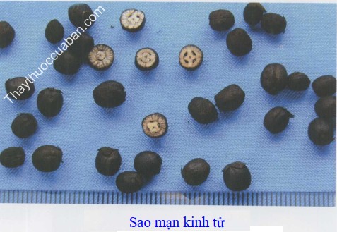 H&igrave;nh ảnh vị thuốc m&agrave;n kinh tử sao
