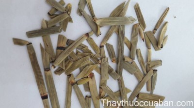 H&igrave;nh ảnh vị thuốc mặc tặc