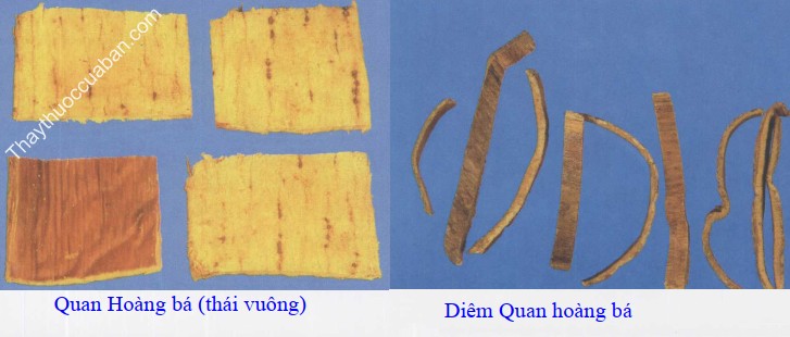 H&igrave;nh ảnh quan ho&agrave;ng b&aacute; th&aacute;i vu&ocirc;ng