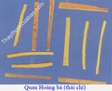 H&igrave;nh ảnh quan ho&agrave;ng b&aacute; th&aacute;i chỉ