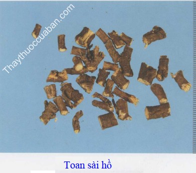 H&igrave;nh ảnh vị thuốc toan s&agrave;i hồ