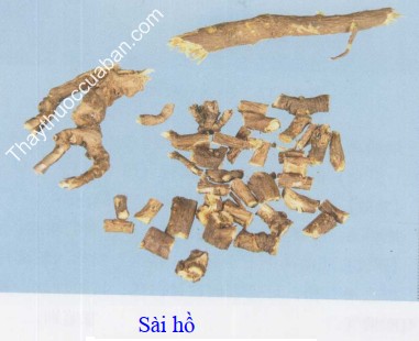 H&igrave;nh ảnh vị thuốc s&agrave;i hồ