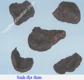 H&igrave;nh ảnh sinh địa th&aacute;n