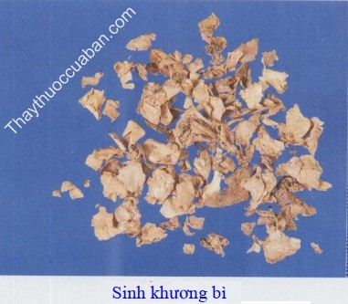 H&igrave;nh ảnh sinh khương b&igrave;