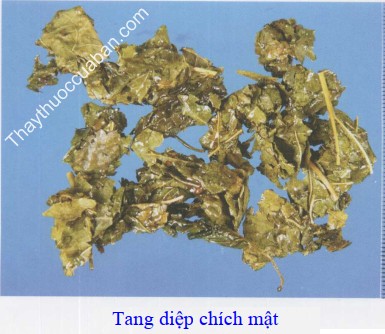 H&igrave;nh ảnh vị thuốc tang diệp ch&iacute;ch mật