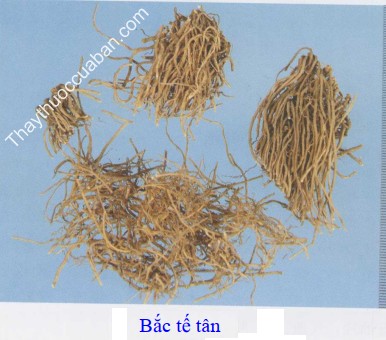 H&igrave;nh ảnh vị thuốc tế t&acirc;n bắc