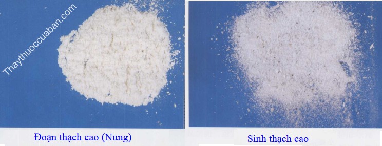 H&igrave;nh ảnh vị thuốc thạch cao