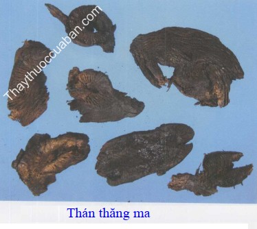 H&igrave;nh ảnh thăng ma th&aacute;n