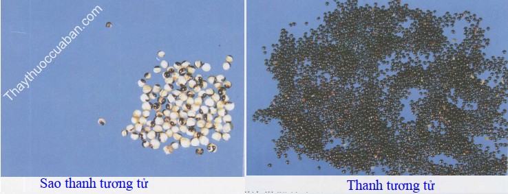 H&igrave;nh ảnh thanh tương tử v&agrave; thanh tương sao